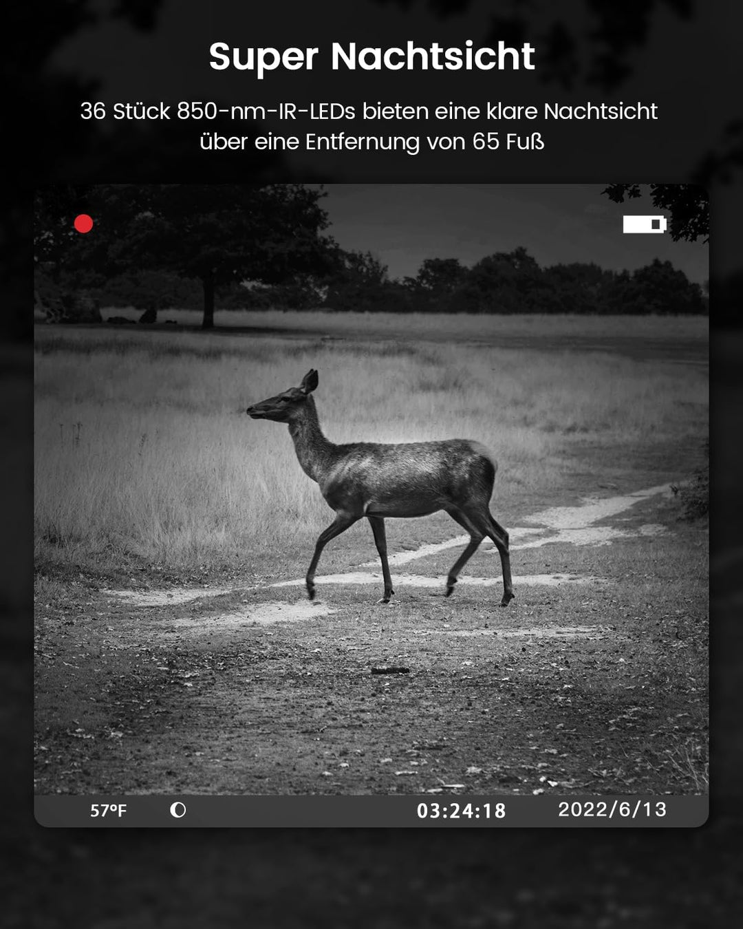 usogood Wildkamera 4K 48MP 30 fps mit Nachtsicht, Bewegungserkennung und Batterie 8 AA + 32 GB, wass