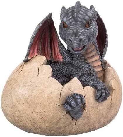 Pacific Giftware Gartenfigur Bunter Drache Feo schlüpft aus Ei 25 cm - Fantasy Garten Deko Figur Sta