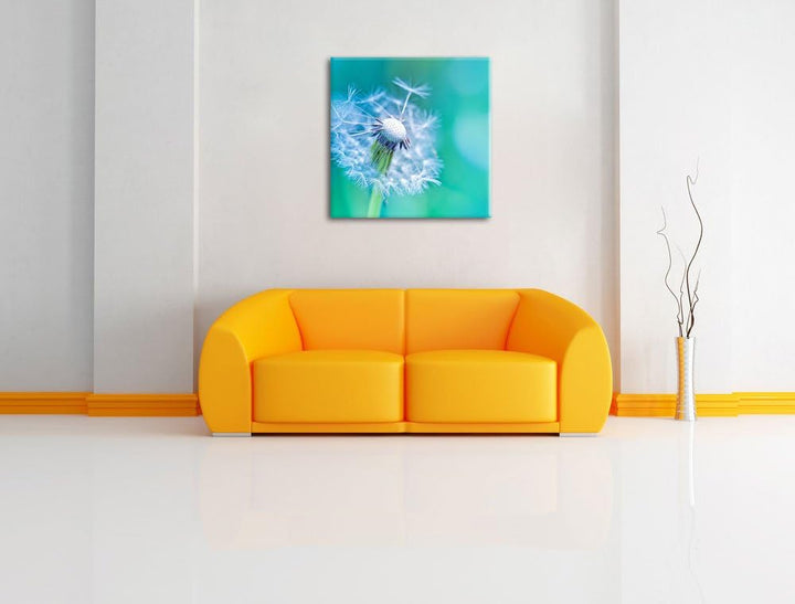 Schöner weisser Löwenzahn, Format: 70x70 auf Leinwand, XXL riesige Bilder fertig gerahmt mit Keilrah