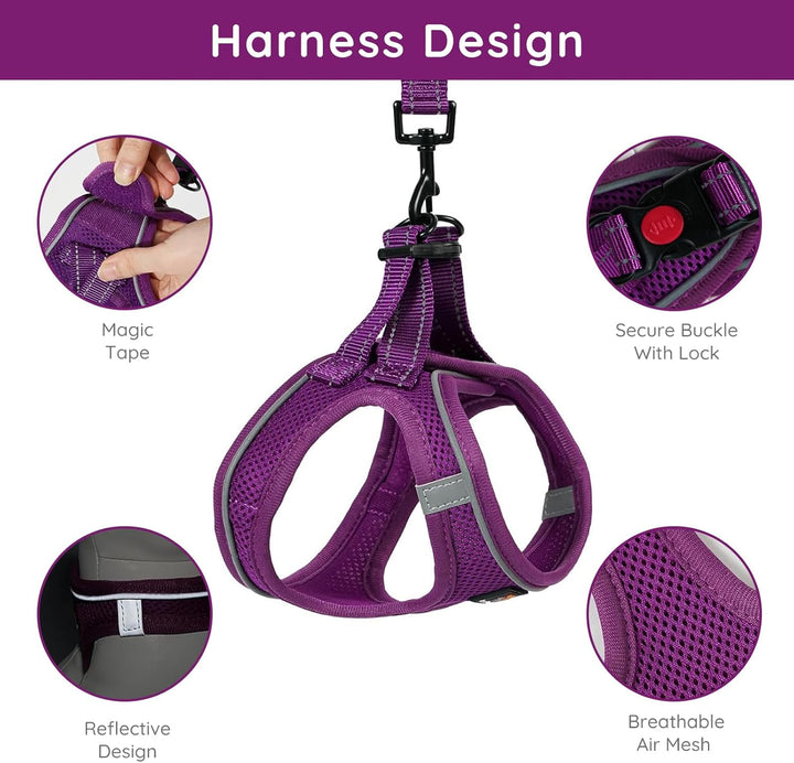 BELLA & PAL Hundegeschirr Kleine Hunde mit Leine, Step-in Geschirr aus Air Mesh, Anti Zug Reflektier