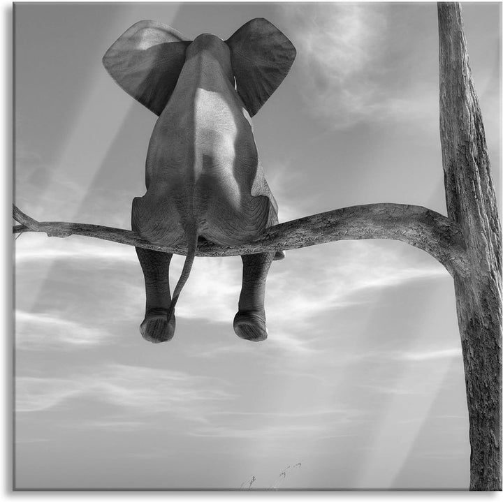 Pixxprint Glasbild | Wandbild auf Echtglas | Elefant auf einem Ast in der Wüste | 50x50 cm | inkl. A