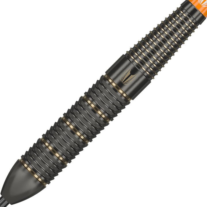 Target Raymond Van Barneveld RVB Brass - Steeldarts 22 Gramm