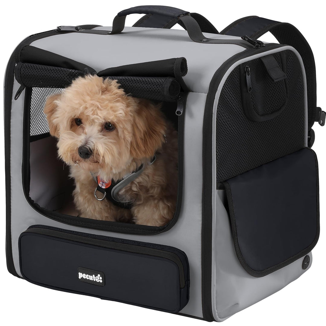 pecute Grosse Katzen Rucksack Tragetasche für Katzen & kleine Hunde, Belüfteter & robuster Haustier