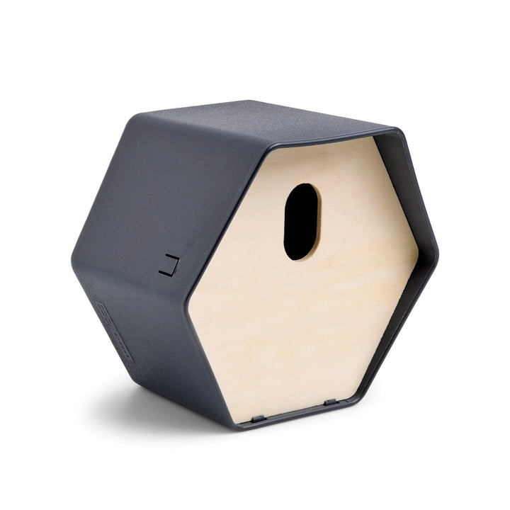 Capi Europe - Vogelhaus oval Hive - 19x23x20 - Anthrazit - CAPI Biodiversity Hive - AHBIA002 Anthraz