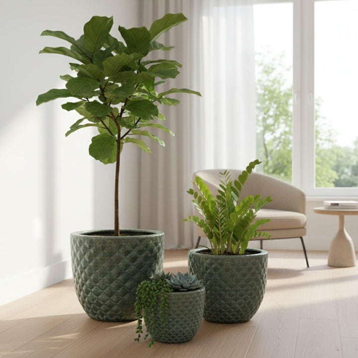 Teramico Frostfester Pflanzkübel aus Premium-Steinzeug | Glasierter Keramik-Pflanztopf in einzigarti