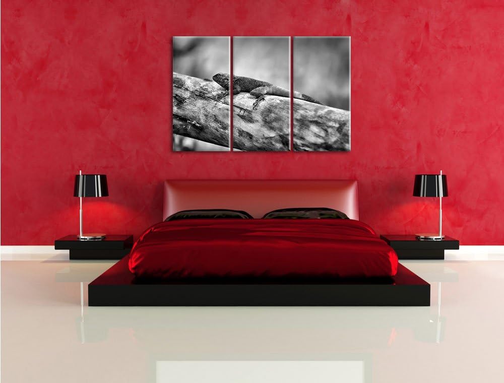 Pixxprint farbenfrohe Eidechse als Leinwandbild | Grösse: 3 Teilig (120x80) | Wandbild| Kunstdruck |