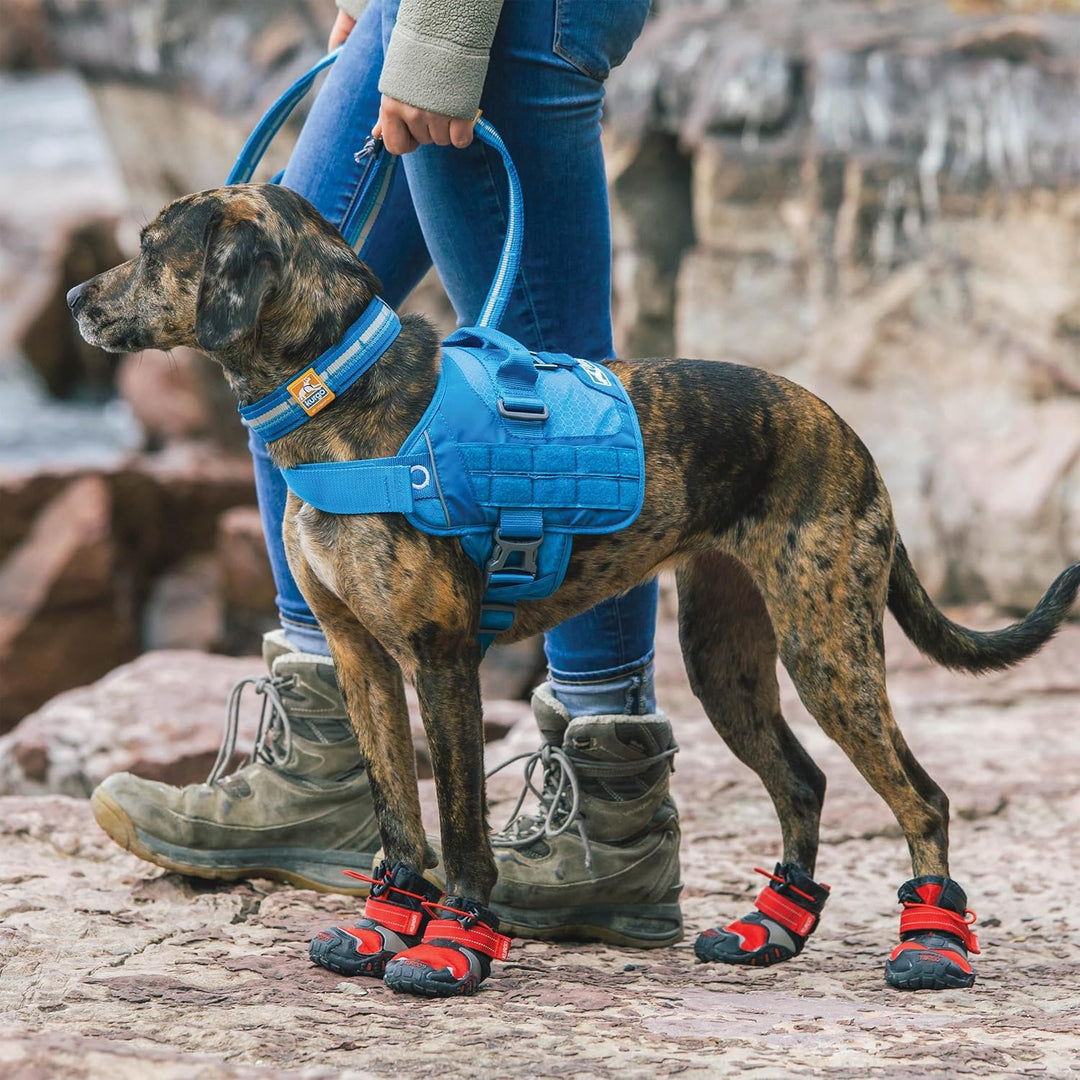 Kurgo RSG Townie Hundegeschirr, Einfaches Anlegen und Abnehmen, Einstellbare Brust- und Bauchgurte,