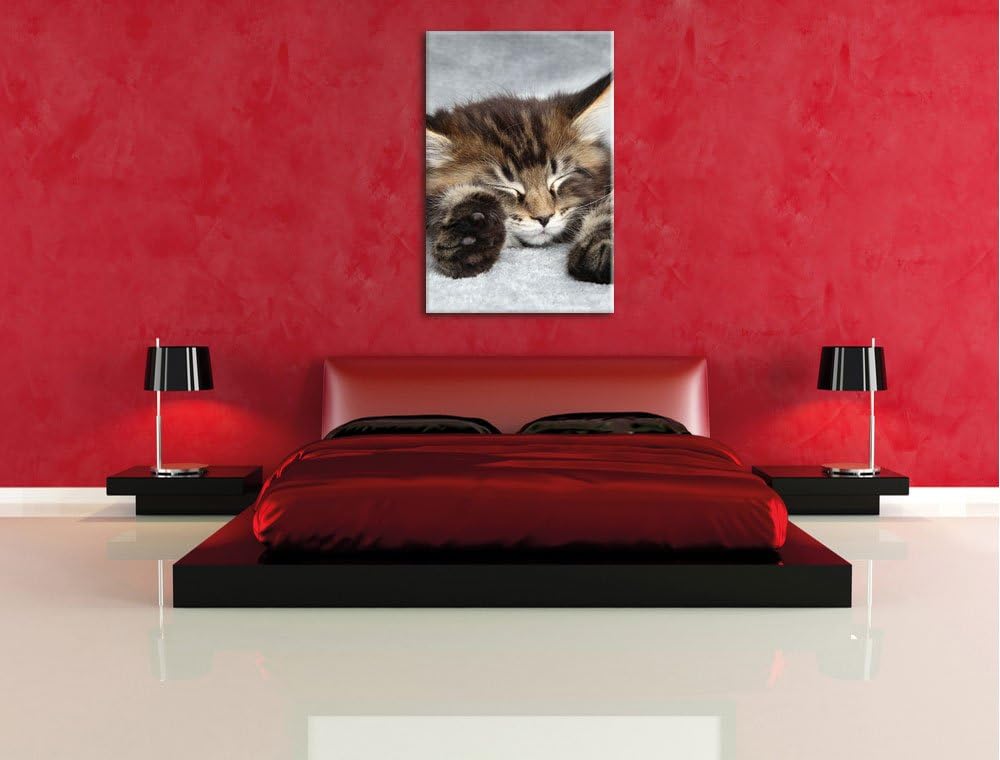 Süsse Baby Katze, Format: 100x70 auf Leinwand, XXL riesige Bilder fertig gerahmt mit Keilrahmen, Kun