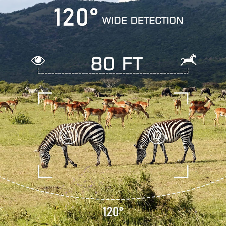 RecorCam Wildkamera 4G 36MP 4K Video,Lithium 8000mAh,Wildtierkamera mit Nachtsicht Bewegungsmelder,9