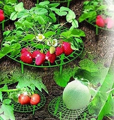 UPP Erdbeerreifer & Fruchtreifer | Einstellbare Erdbeerstützen für Erdbeeren, Salat, Tomaten, Pflanz