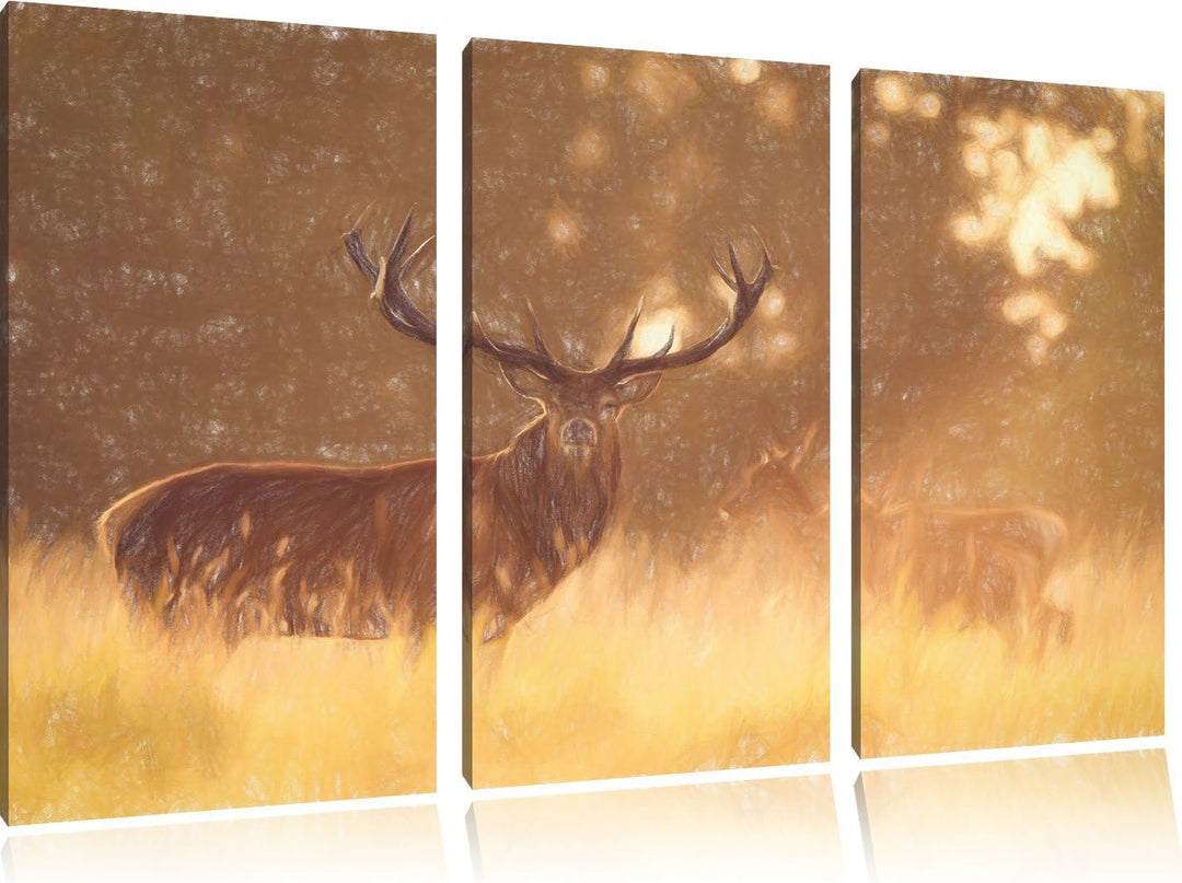 Pixxprint Rotwild im goldenen Morgenlicht als Leinwandbild/Grösse: 3 Teilig (120x80) cm/Wandbild/Kun