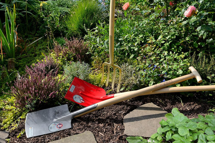 IDEAL Eschen-Knopfstiel 100cm