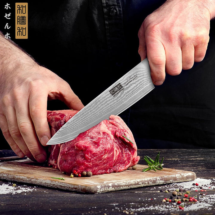 HOSHANHO Damastmesser Küchenmesser 20cm, 67 Schichten Damaststahl Kochmesser, Extra Scharfes Japanis