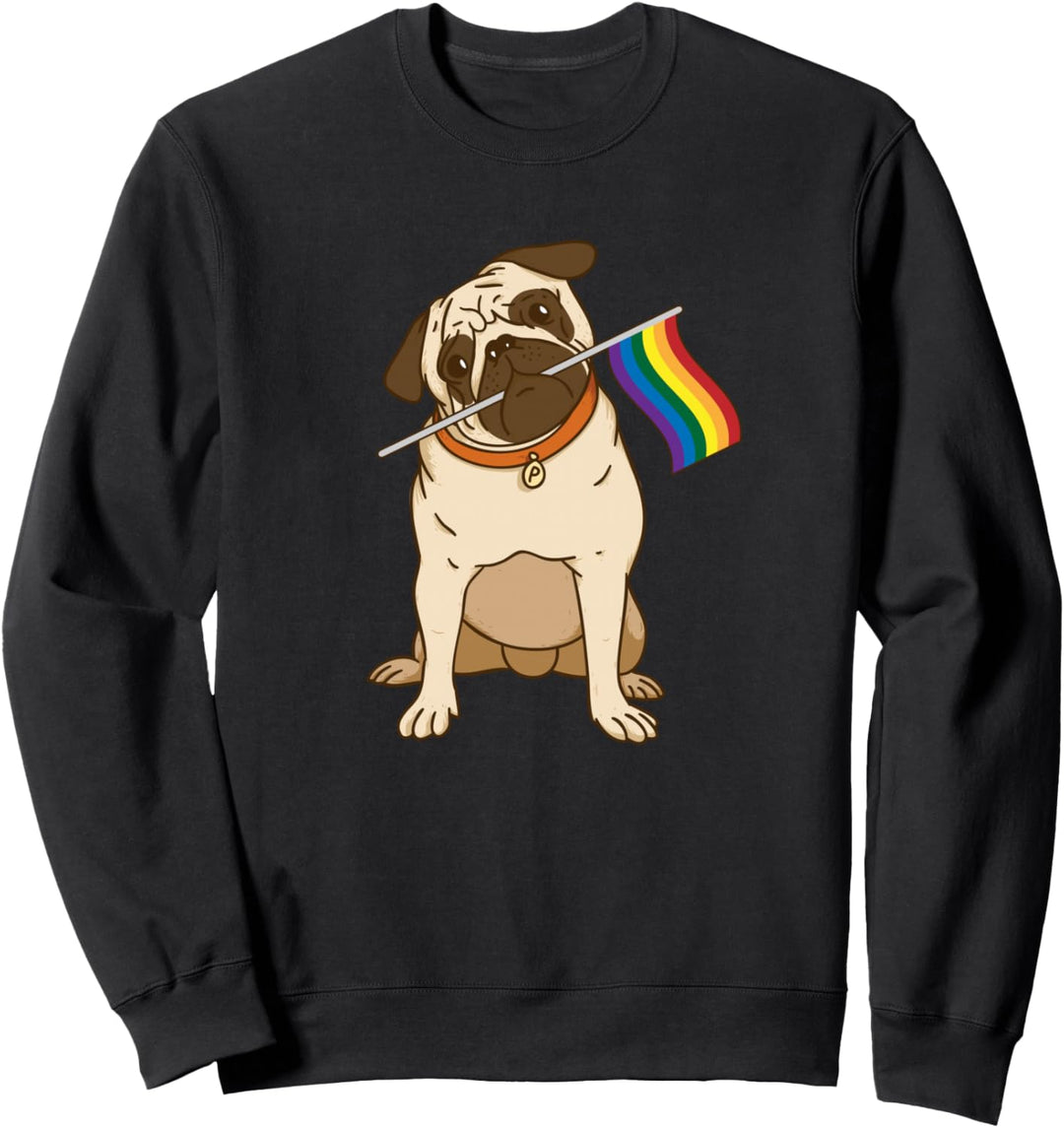 Homosexuelle Lesben Stolz LGBT Flagge Stolz Monat Gleichheit Sweatshirt