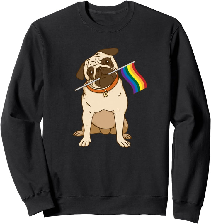 Homosexuelle Lesben Stolz LGBT Flagge Stolz Monat Gleichheit Sweatshirt