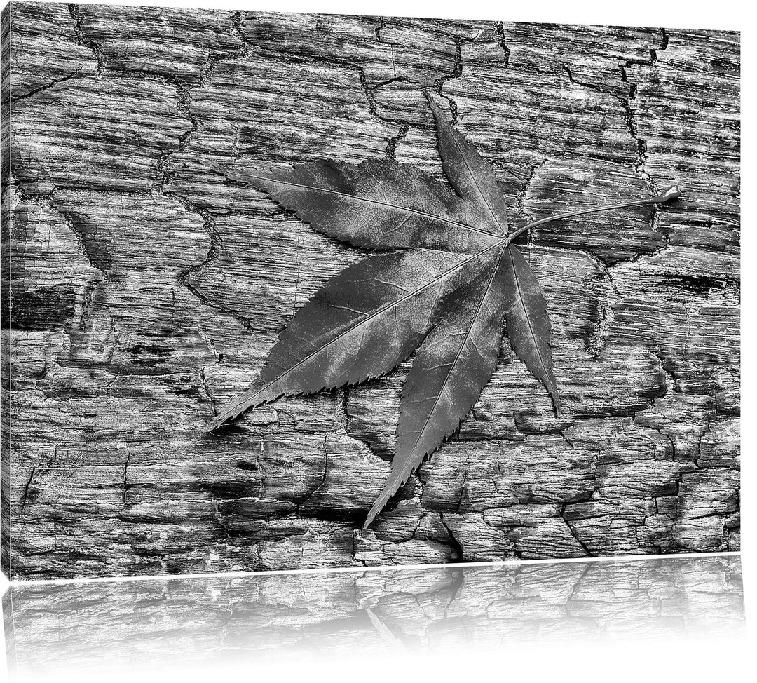 Pixxprint Monocrome, Rotes Blatt auf Holz, Laub, Natur, Format: 100x70 auf Leinwand, 100x70