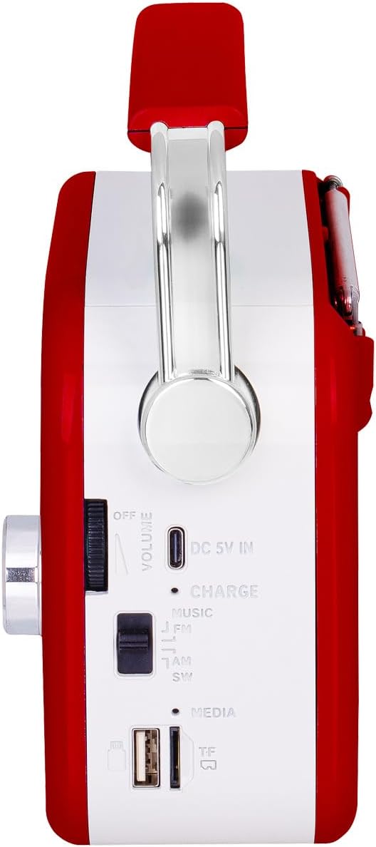 Trevi RDA 70 BR Tragbares kabelloses Multiband-Radio FM AM SW mit USB, Micro SD, MP3 und Lithium-Akk