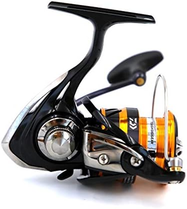 Daiwa 19 Ninja BG LT 2500 Rolle
