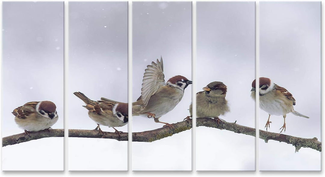 islandburner Bild auf Leinwand Spatzen Winter Verschneit Bilder Wandbilder Poster Leinwand 170x80cm