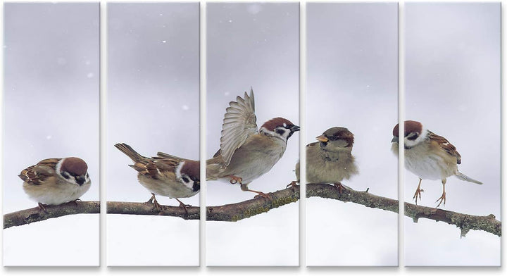 islandburner Bild auf Leinwand Spatzen Winter Verschneit Bilder Wandbilder Poster Leinwand 170x80cm