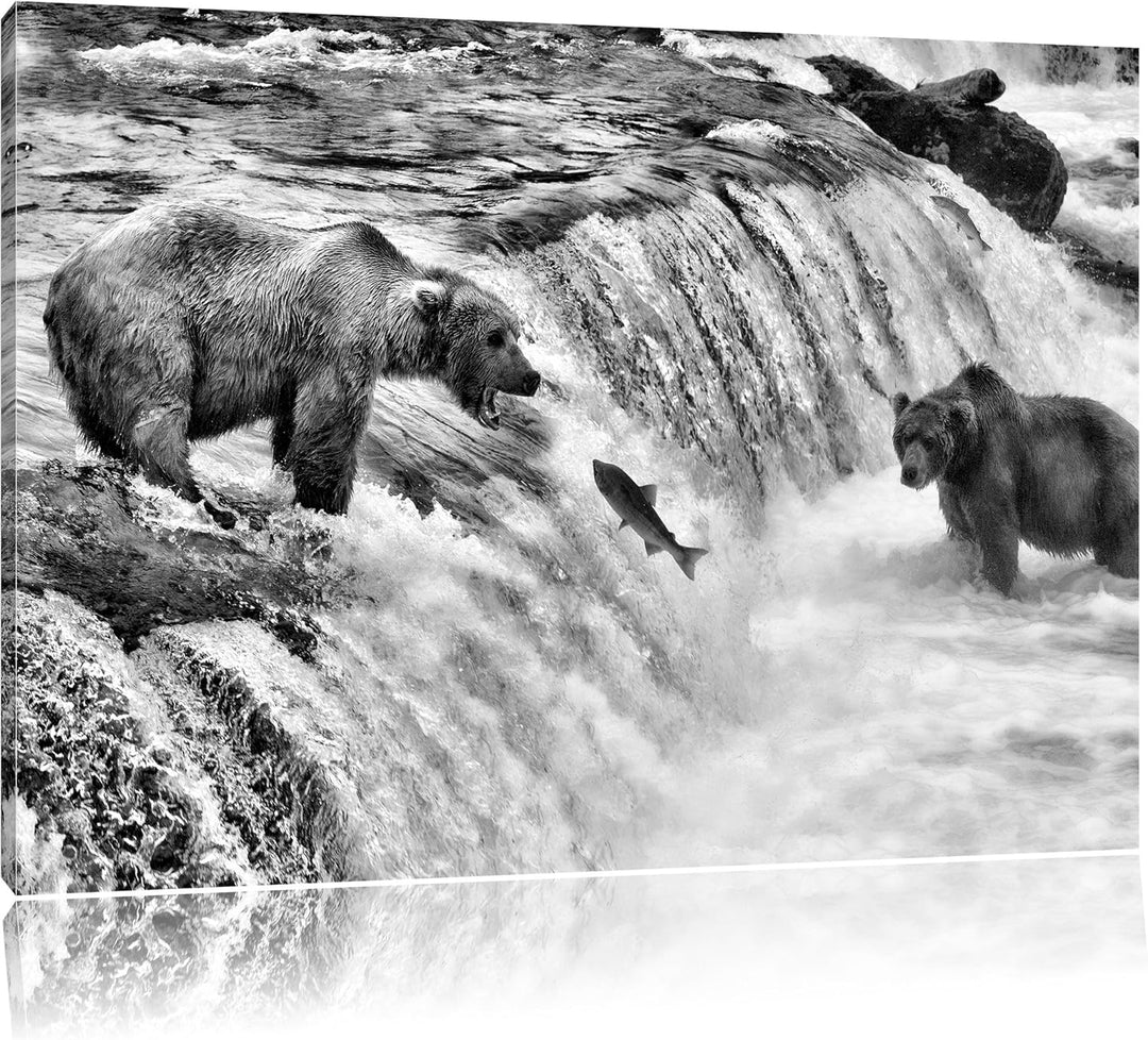 Pixxprint Bären fangen Lachs als Leinwandbild | Grösse: 100x70 | Wandbild| Kunstdruck | fertig bespa