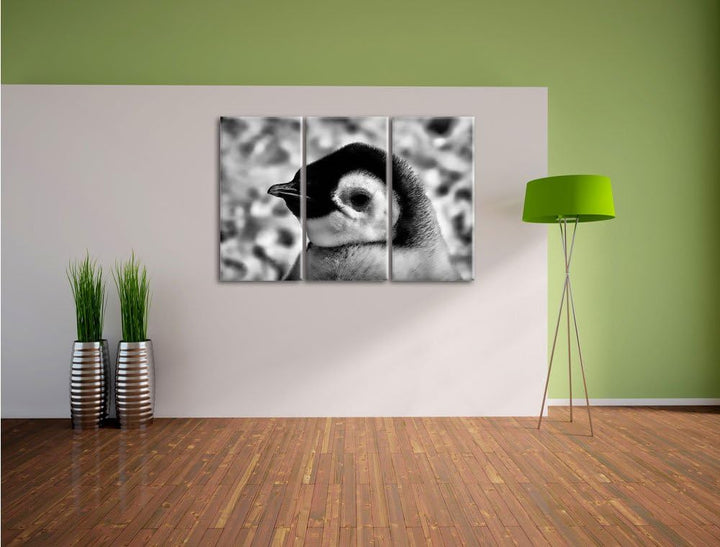Pixxprint Monocrome, DREI Kaiserpinguinküken 3-Teiler Leinwandbild 120x80 Bild auf Leinwand