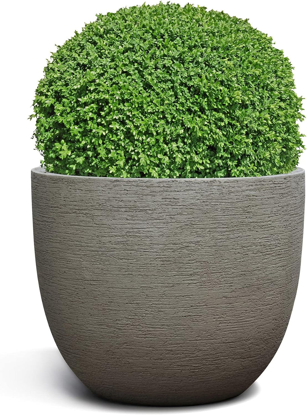 ESCHBACH® Pflanzkübel Egg Pot 60 Macchiato Grau Rund XL * 55 x 55 x 46 cm * 10 Jahre Garantie 55x55x