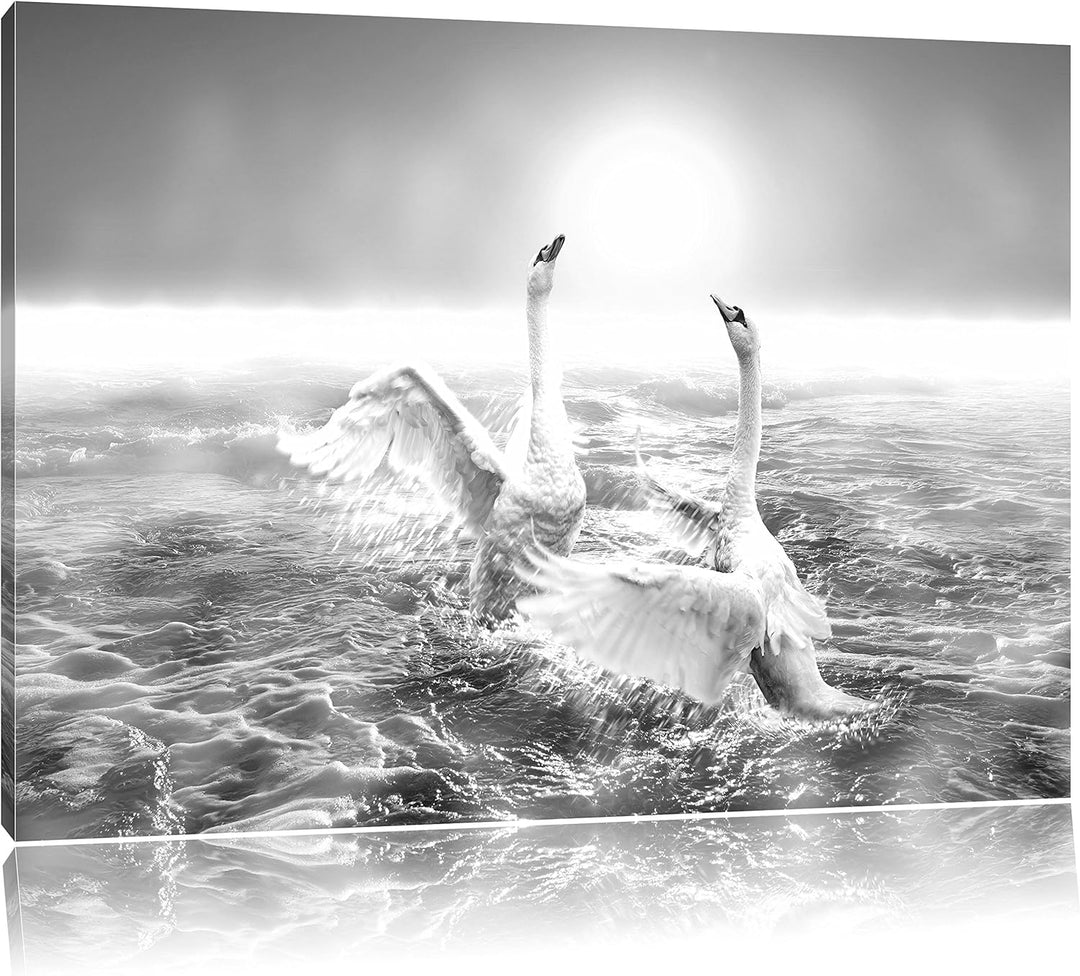 Pixxprint anmutige Schwäne Spritzen in den Wellen des Meeres Kunst B&W, Format: 100x70 auf Leinwand,