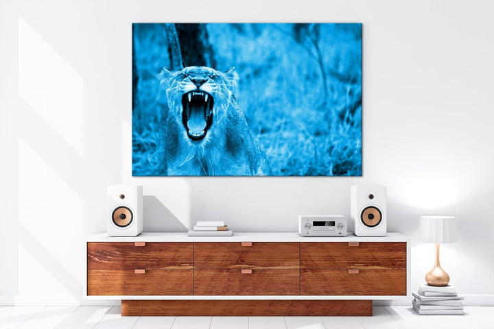 deyoli brüllende Löwin Format 80x60 Effekt: Monocrome Blau als Leinwandbild, Motiv fertig gerahmt au