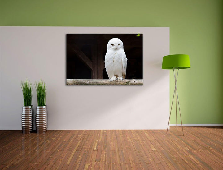 Weisse Schneeeule, Format: 100x70 auf Leinwand, XXL riesige Bilder fertig gerahmt mit Keilrahmen, Ku