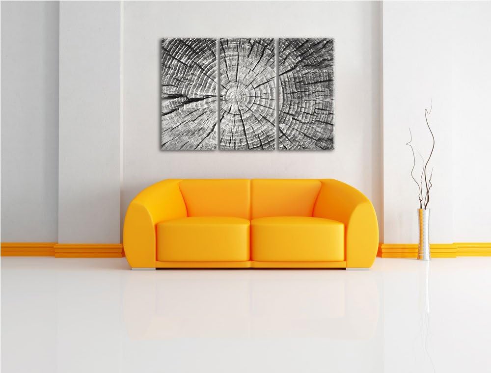 Baumstamm mit Jahresringen Spezial 3-Teiler Leinwandbild 120x80 Bild auf Leinwand, XXL riesige Bilde