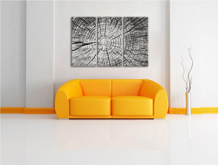 Baumstamm mit Jahresringen Spezial 3-Teiler Leinwandbild 120x80 Bild auf Leinwand, XXL riesige Bilde