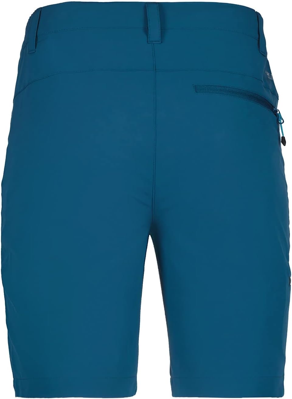 Icepeak Berwyn Short Sportiv mit Ziptasche 48 Turquoise, 48 Turquoise