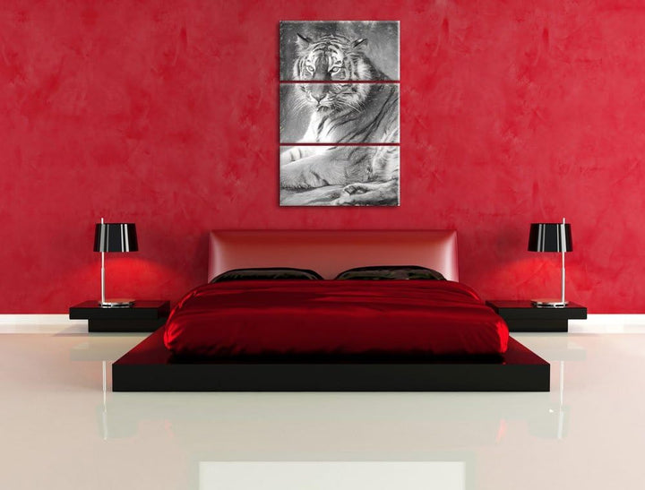 schöner Tiger beim Putzen Spezial 3-Teiler Leinwandbild 120x80 Bild auf Leinwand, XXL riesige Bilder