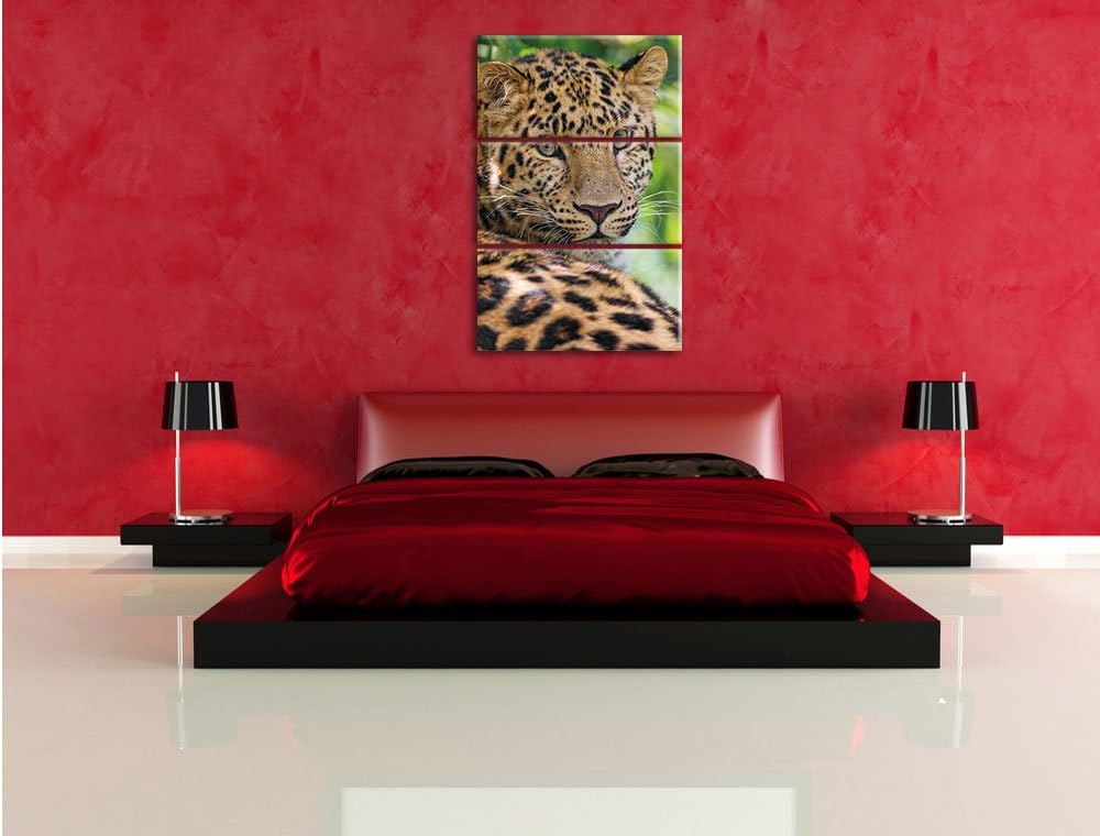 Pixxprint aufmerksamer Leopard im Schatten als Leinwandbild/Grösse: 3 Teilig (120x80) cm/Wandbild/Ku
