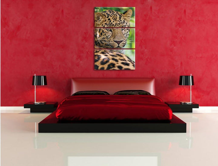 Pixxprint aufmerksamer Leopard im Schatten als Leinwandbild/Grösse: 3 Teilig (120x80) cm/Wandbild/Ku
