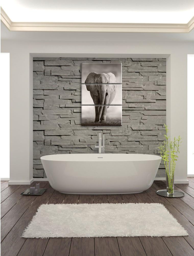 Pixxprint Elefant in Savanne 3-Teiler Leinwandbild 120x80 Bild auf Leinwand