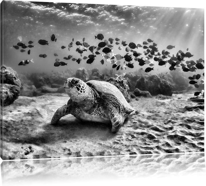 Monocrome, Ninja Turtles, Format: 100x70 auf Leinwand, XXL riesige Bilder fertig gerahmt mit Keilrah