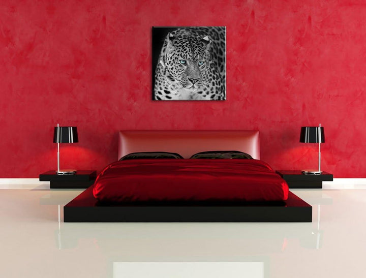 Pixxprint Prächtiger Leopard als Leinwandbild/Grösse: 70x70 cm/Wandbild/Kunstdruck/fertig bespannt,