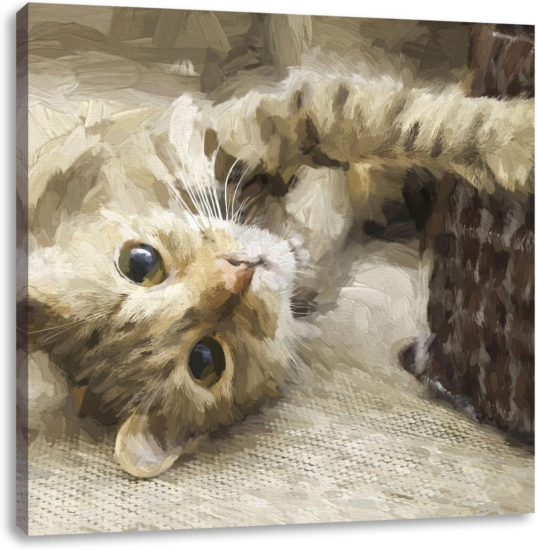 Pixxprint Katze streckt Sich als Leinwandbild Quadratisch/Grösse: 70x70 / Wandbild/Kunstdruck/fertig