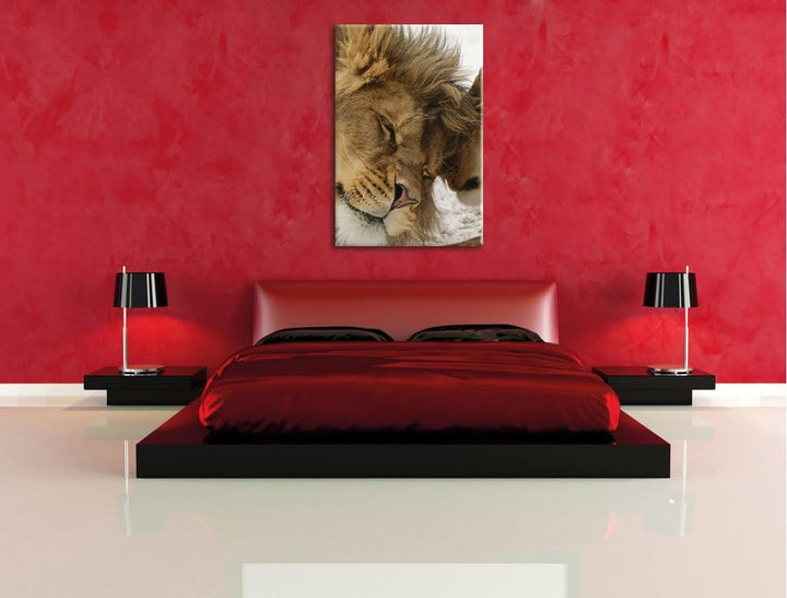 Kuschelnde Löwen, Format: 100x70 auf Leinwand, XXL riesige Bilder fertig gerahmt mit Keilrahmen, Kun