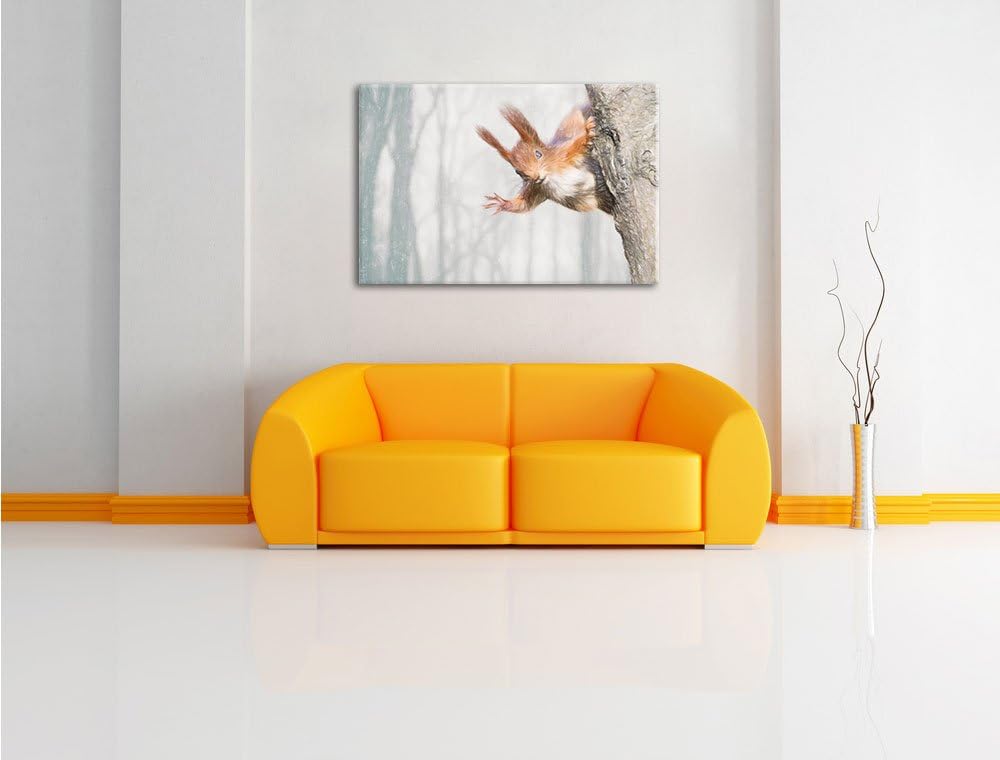 Pixxprint Neugierig rotes Eichhörnchen als Leinwandbild/Grösse: 100x70 / Wandbild/Kunstdruck/fertig