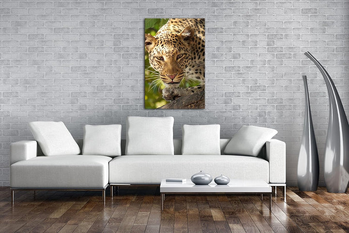 schleichender Leopard in der Safari im Format: 80x60 als Leinwandbild, Motiv fertig gerahmt auf Echt