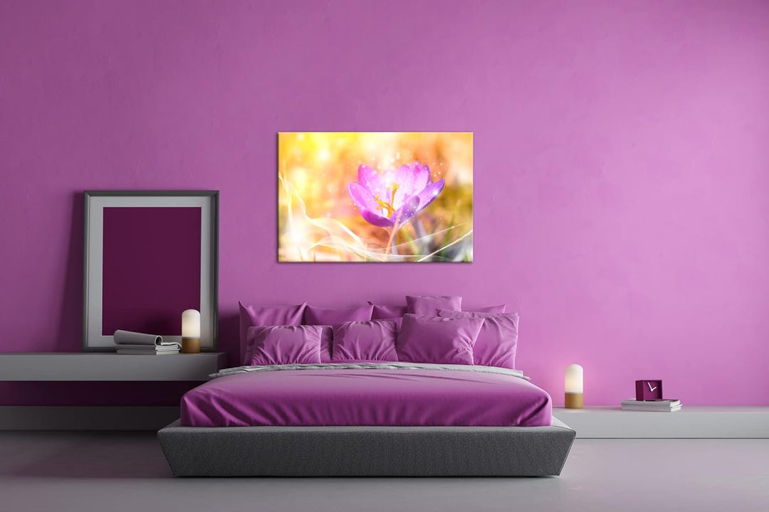 deyoli blühender frühlings Krokus Format: 80x60 als Leinwandbild, Motiv fertig gerahmt auf Echtholzr