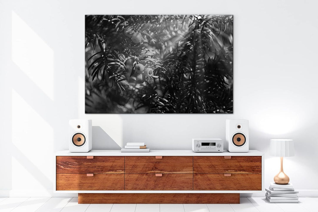 deyoli Eibe mit Früchten Effekt: Schwarz&Weiss Format: 80x60 als Leinwandbild, Motiv fertig gerahmt