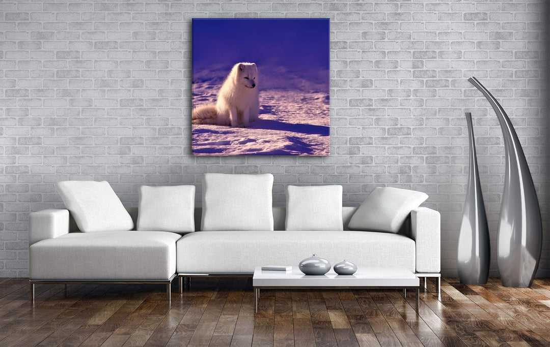 deyoli Arktischer Polarfuchs Format: 70x70 als Leinwand, Motiv fertig gerahmt auf Echtholzrahmen, Ho