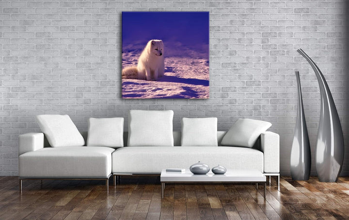 deyoli Arktischer Polarfuchs Format: 70x70 als Leinwand, Motiv fertig gerahmt auf Echtholzrahmen, Ho