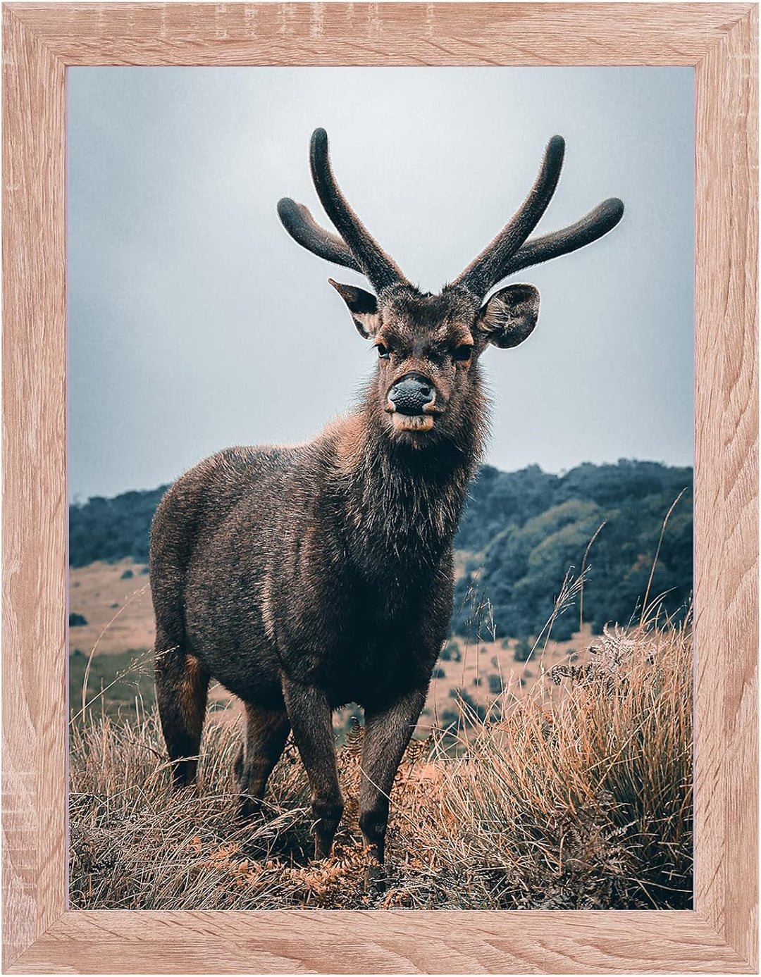 Rahmendesign24 Posterrahmen Milano 50x70 Sonoma Eiche Fotorahmen, Wechselrahmen, Bilderrahmen, Puzzl