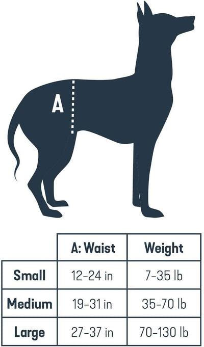 PetSafe CareLift Heckstützgeschirr – Hebehilfe mit Griff und Schultergurt – ideal für Haustier-Mobil