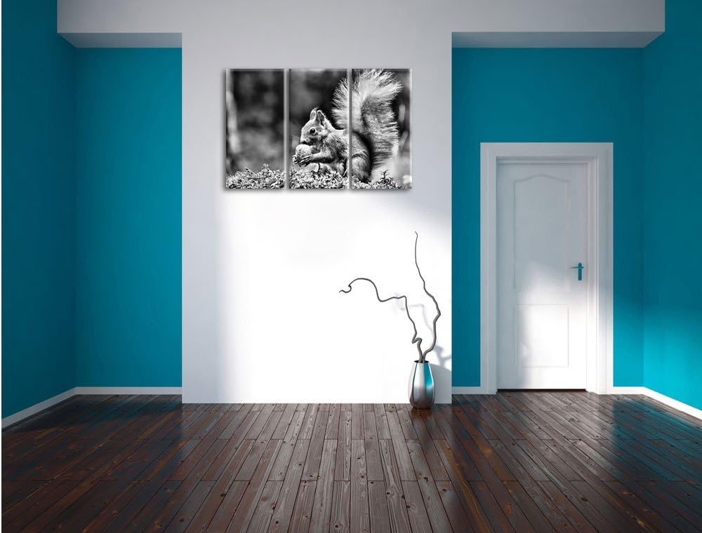 Pixxprint Eichhörnchen mit Nuss als Leinwandbild/Grösse: 3 Teilig (120x80) / Wandbild/Kunstdruck/fer